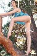 Branch Out : Lola Cherie from Met-Art, 19 Nov 2021